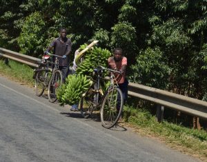 overload: uganda on the road again-pictures by albi