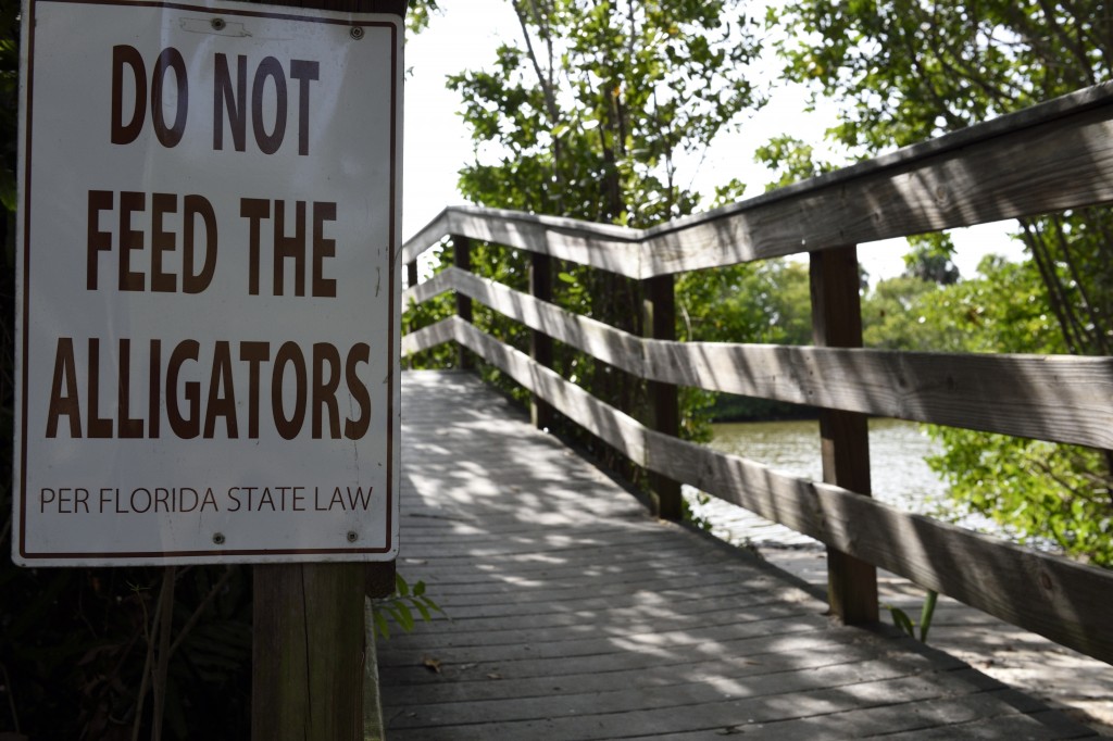 welcome to sanibel island