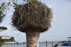 sanibel island- miami to new orleans