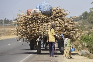 overloaded-just a bit...ethiopia: pictures by albi with nikon camera