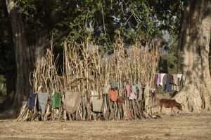 how to dry clothes-ethiopia: pictures by