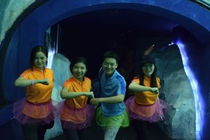 Chimelong Ocean park ZHUHAI