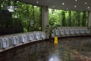 will everything be big like this? toilets with a green view