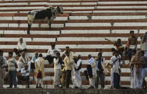 living india: girls and boys are are separate, even in restaurants