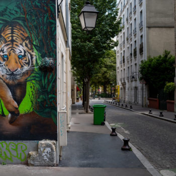 photos d'une ville morte:paris